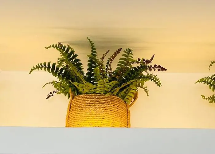 Mykonian Starling - Town N' Sunset View Daire