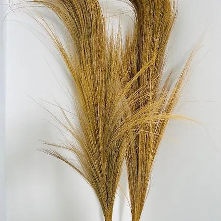 Mykonian Starling - Town N' Sunset View Apartmán