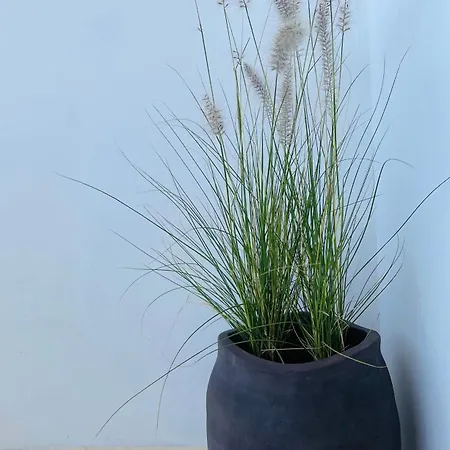 Mykonian Starling - Town N' Sunset View Apartmán