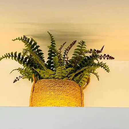 Mykonian Starling - Town N' Sunset View Apartmán