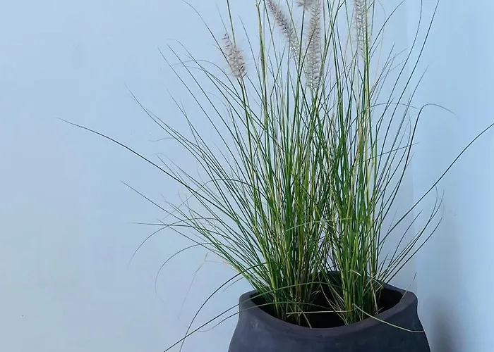 Mykonian Starling - Town N' Sunset View شقة