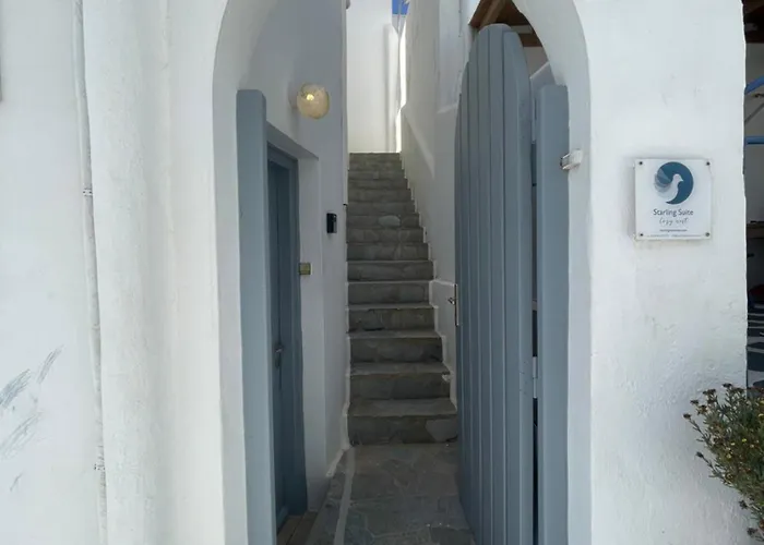 Mykonian Starling - Town N' Sunset View